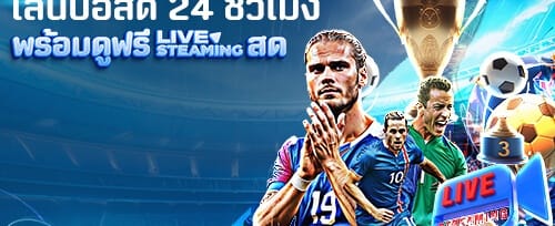 แพ็กเกจ VIP สล็อตพรีเมียม promotion banner